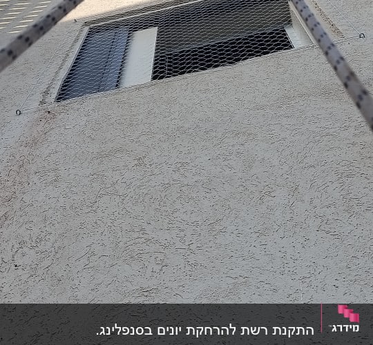 רשת יונים מותקנת על חלון בניין למניעת כניסת יונים
